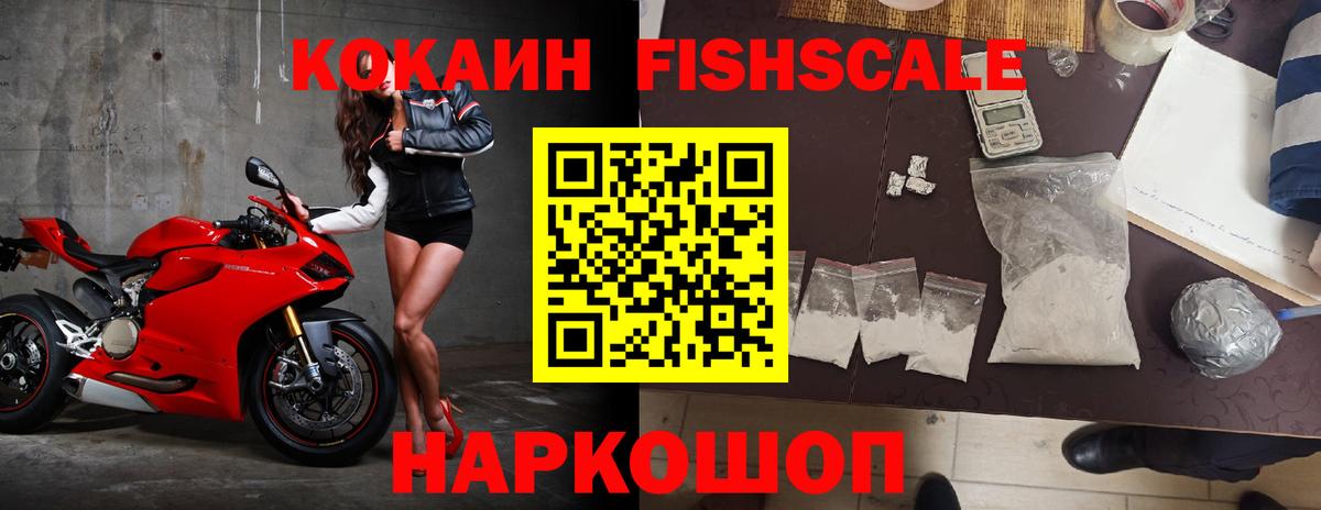 Киселёвск  где купить   Вход с VPN  COCAIN Fish Scale 