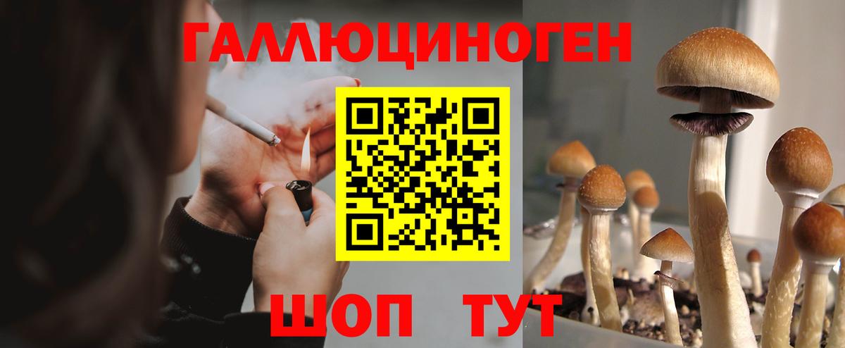 Киселёвск  Галлюциногенные грибы MAGIC MUSHROOMS  Вход с VPN 